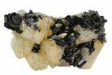 Black Tourmaline (Schorl) & Goshenite Association - Namibia #96577-1